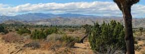 Delegation in Yucca Valley